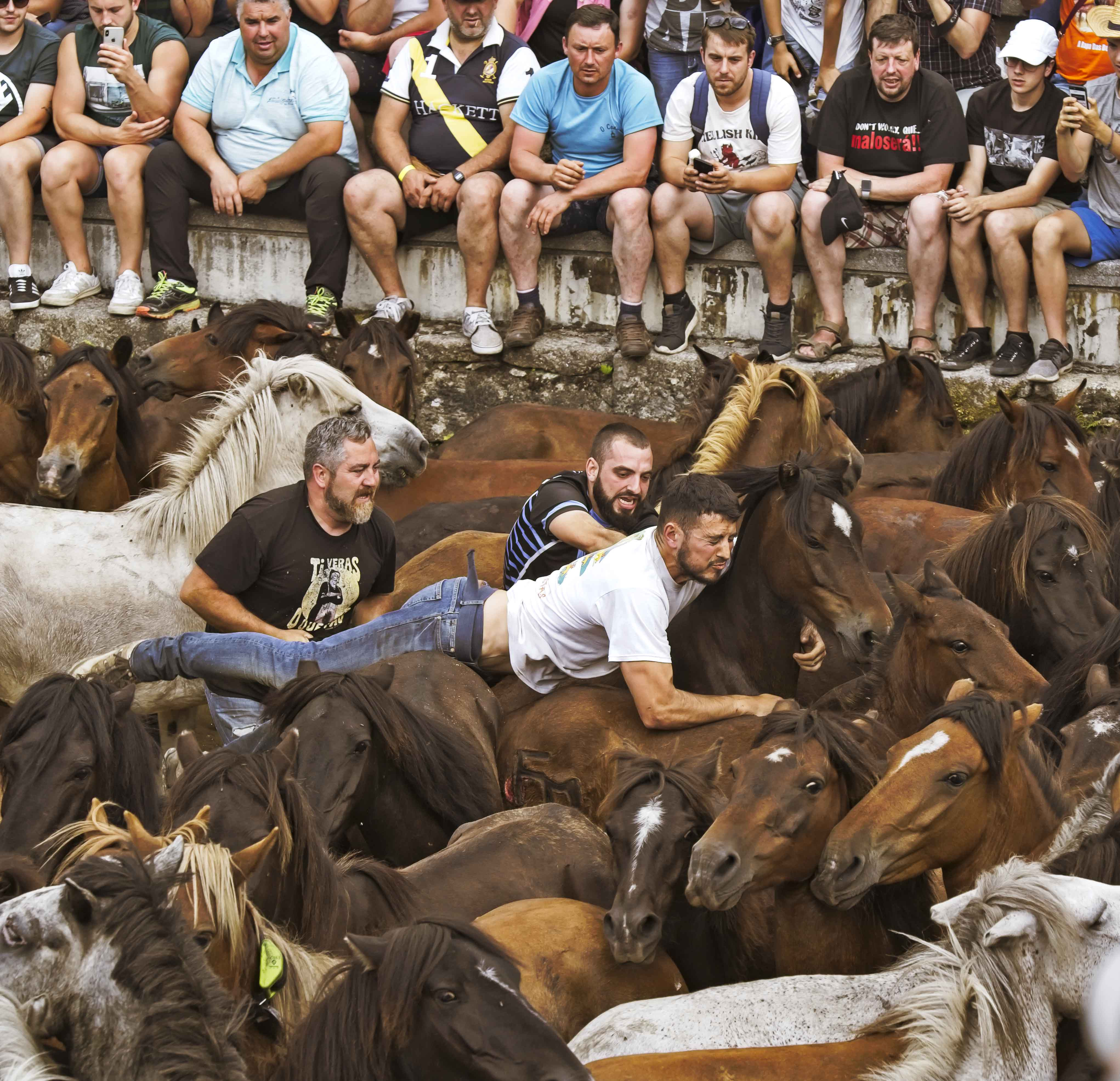 Rapa da Bestas “Pasión, tradición y orgullo”