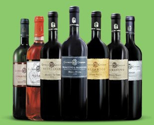 Italian Finest Wines From Apulia