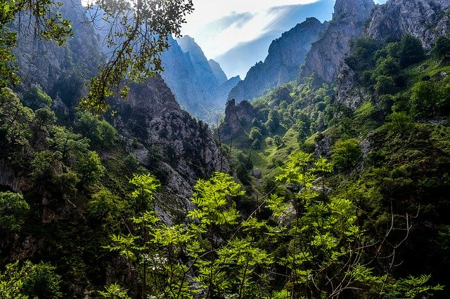 Picos europa IP