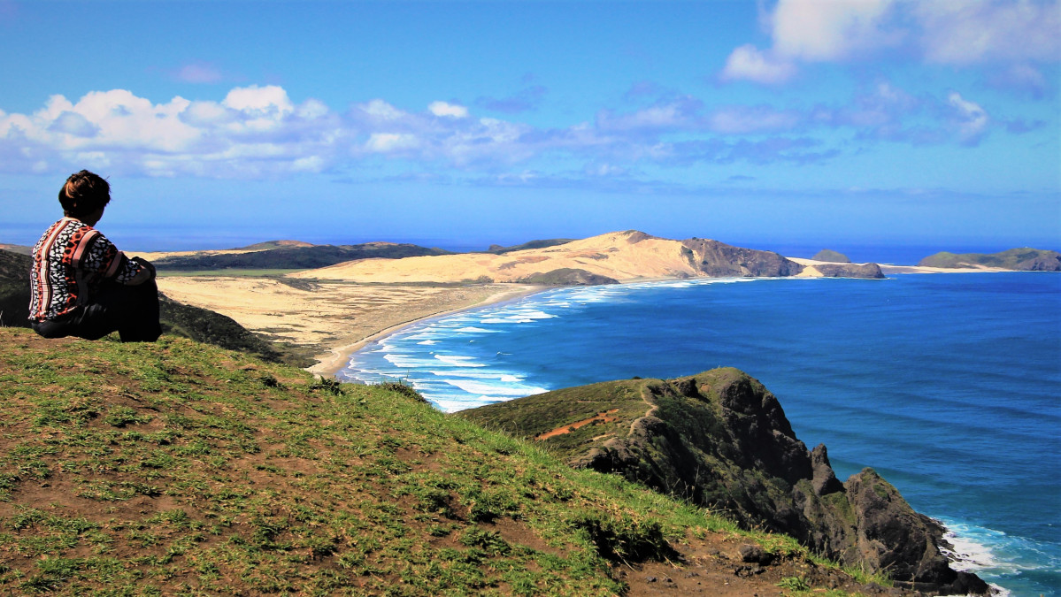 NUEVA ZELANDA cape reinga 5008223