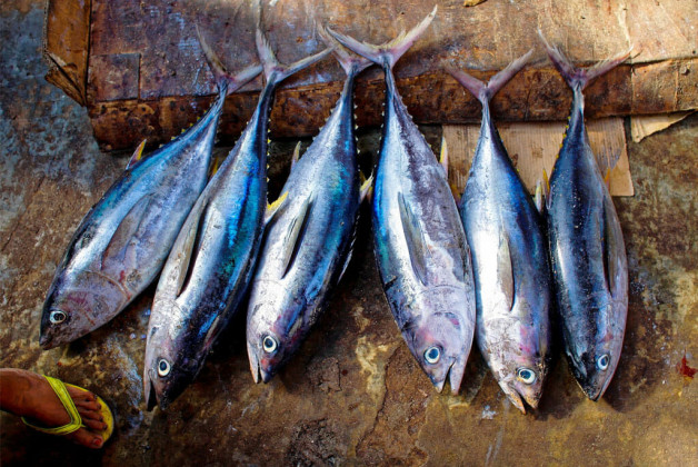 Atun