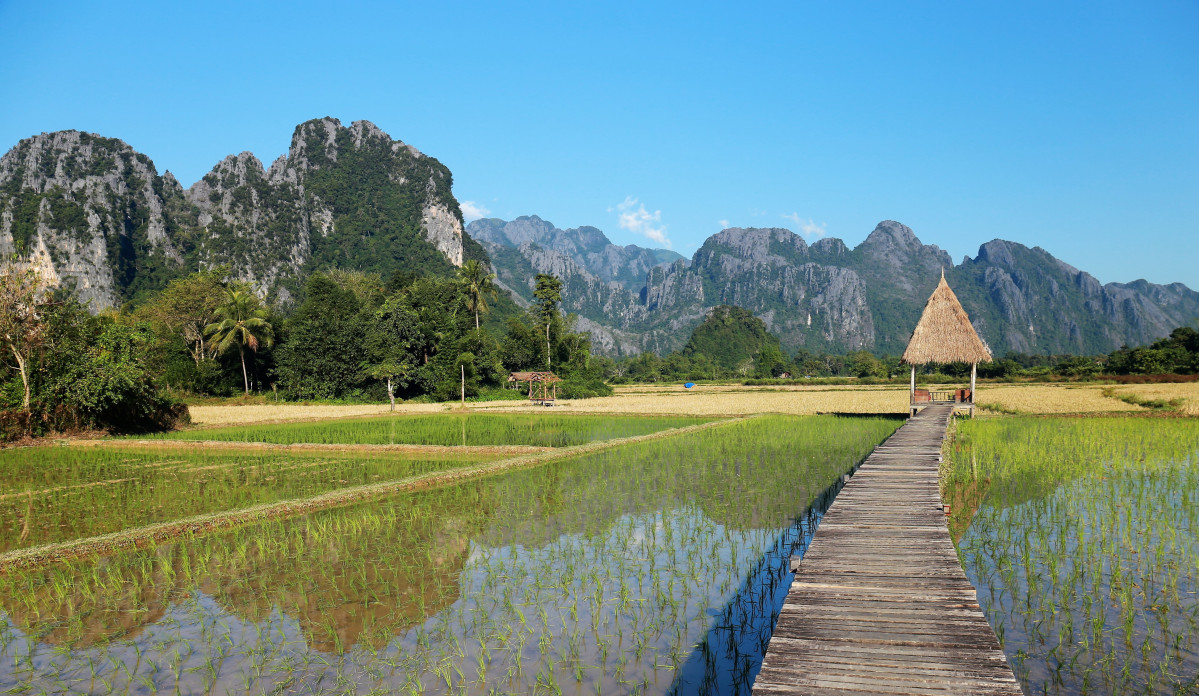 ARROZALES Vang Vieng