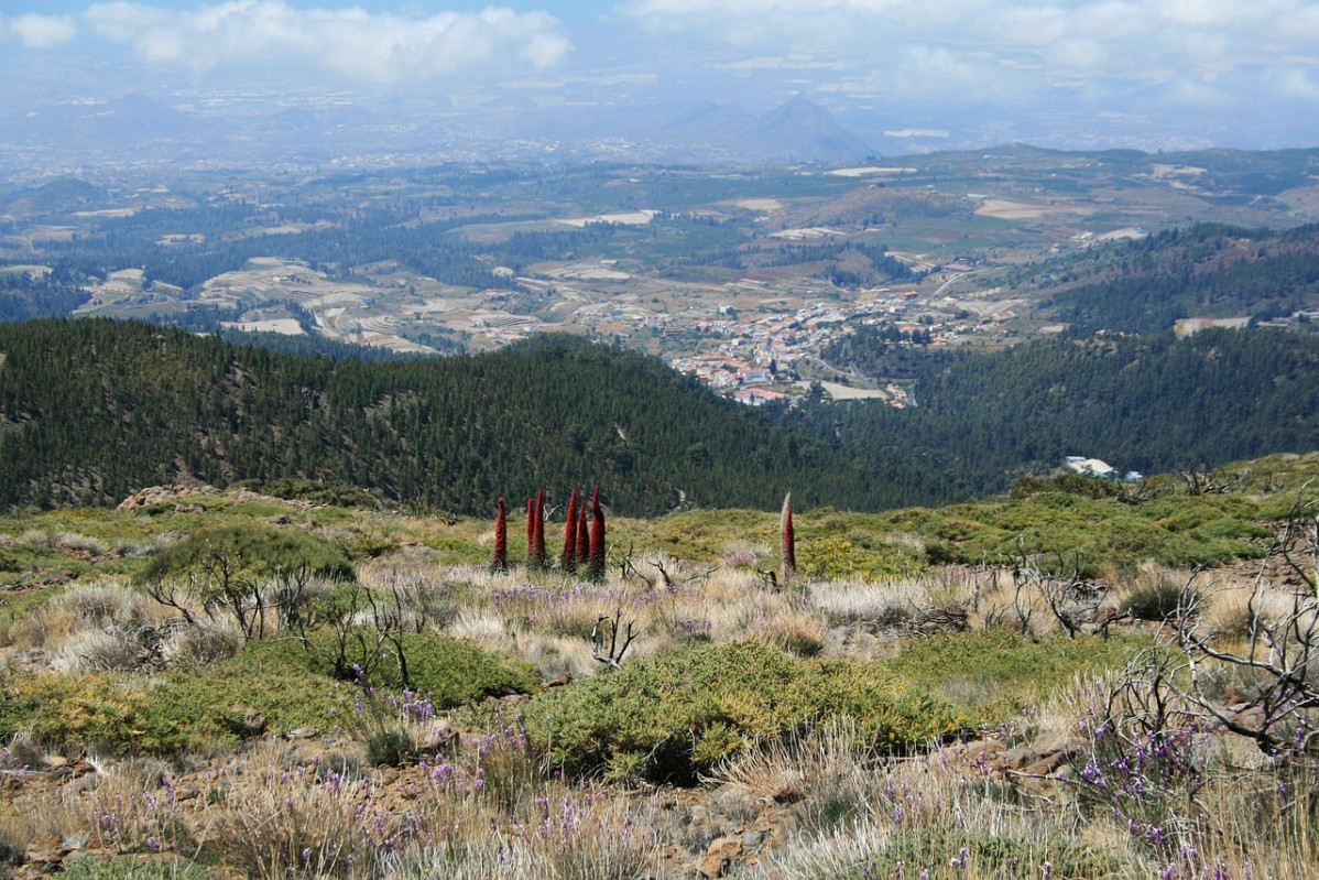 Turismo rural   IP