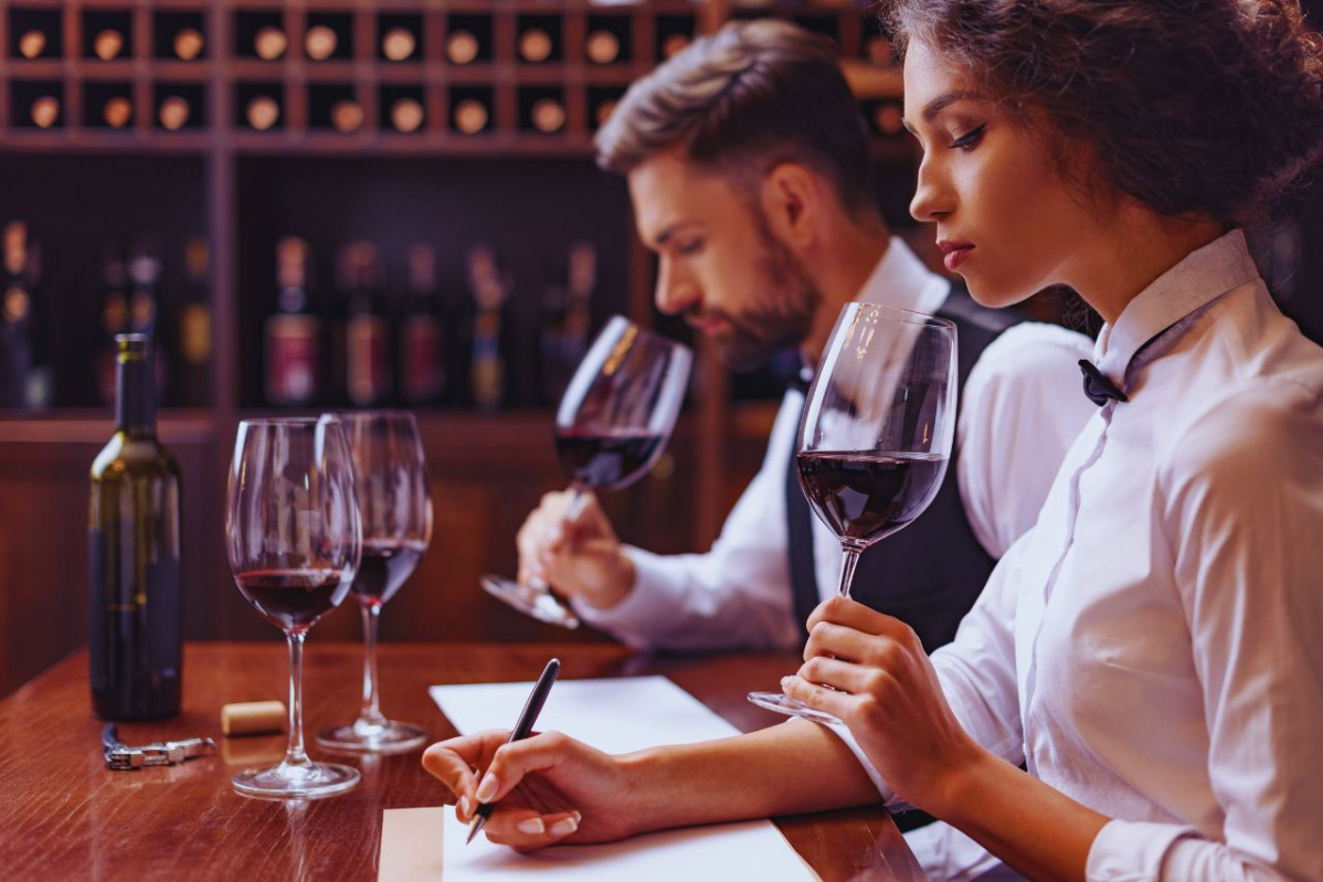 Cata de vinos en toledo   IP