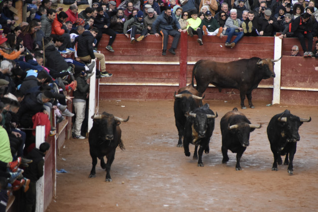 Carnaval del Toro 2024 Encierro Martes Aldeanueva