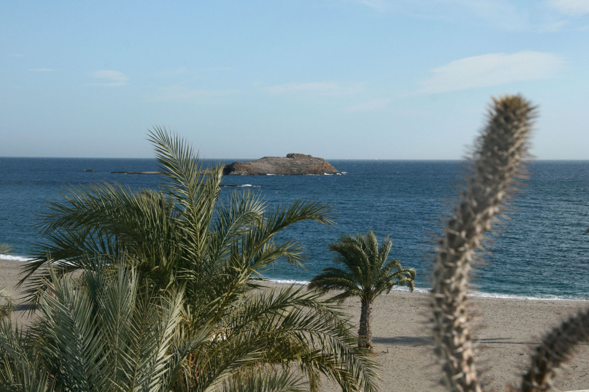 728569   Hotel Las Palmas (1)